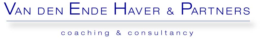 Van den Ende Haver & Partners Logo